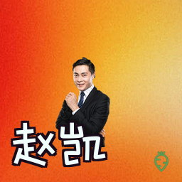 赵凯